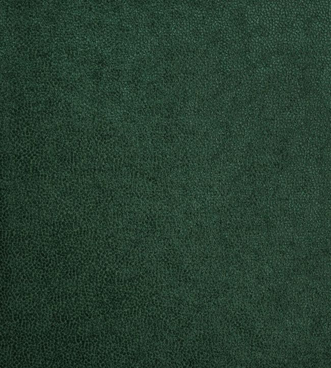 Milan Collection | Milan Fabric